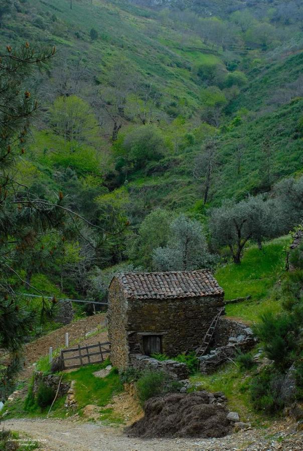 Casa da Neta Villa Acor  Bagian luar foto